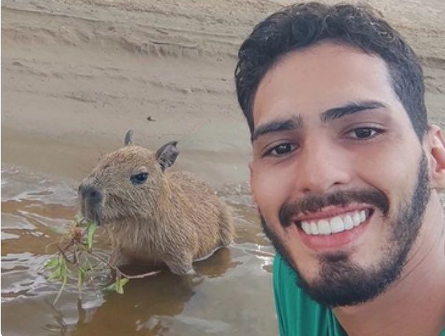 DEVOLUÇÃO DE CAPIVARA A INFLUENCER BUSCA BEM-ESTAR DE FILÓ, E NÃO